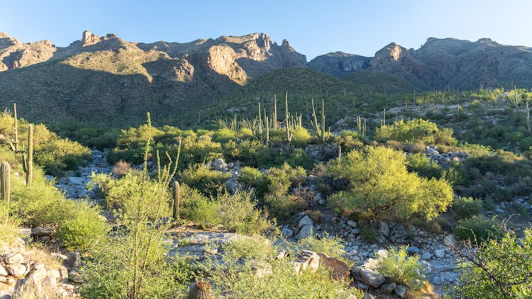 Scottdale Photo by JC Cervantes on Unsplash